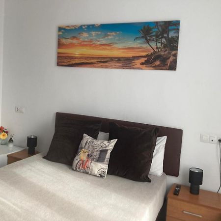 Room With Private Bathroom And Balcony Nearby The Mercado Central, Center And Beach 알리칸테 외부 사진